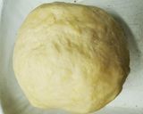 Foto del paso 1 de la receta: Empanadas Napolitanas