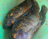 Foto langkah ke 2 dari resep Ikan Goreng Sambal Kemangi.