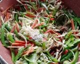 વેજ. સ્પ્રિંગ રોલ (Veg. Spring Roll Recipe In Gujarati) રેસીપી સ્ટેપ3ફોટો