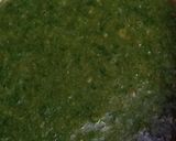 A picture of step 10 of Lahori Fish Fry With Green Chutney.