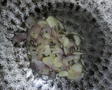 செள செள கூட்டு (Chow Chow Kootu Recipe in Tamil) ரெசிபி ஸ்டேப் 2 புகைப்படம்
