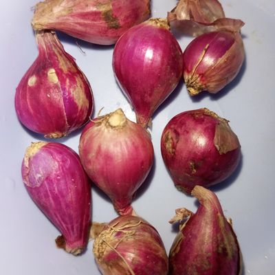 Langkah 2