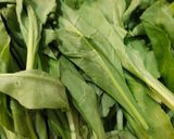 પાલક મઠરી (Palak Mathri Recipe In Gujarati) રેસીપી સ્ટેપ1ફોટો