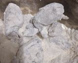 Foto langkah ke 3 dari resep Ayam Goreng Tepung Krispi (awet kriuk).