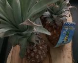 Une image de l'étape 4 de 🍍 smoothie fruits 🍋🥭exotiques 🥥.