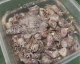 Foto langkah ke 1 dari resep Oseng Cumi Asin.
