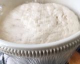 Foto del paso 4 de la receta: Pan casero con grasa