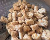 Foto langkah ke 3 dari resep Oseng Tempe Pepaya Muda.