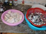 دجاج مشوي على الفحم والسمك الكروفيت والكلمار والتونه