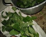 صورة لخطوة 5 من وصفة طريقة حفظ الورقيات 🥦