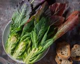 Foto del passaggio 3 della ricetta Broccoletto di Custoza