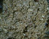A picture of step 3 of Jaggery white til and peanuts ladoo.