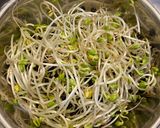韓式涼拌黑豆芽的食譜步驟1照片