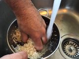 Cómo hacer Sushi de atún y salmón desde cero: Maki, Temaki y Nigiri