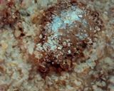 Foto langkah ke 2 dari resep Oatmeal Choco.