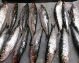 Foto del paso 2 de la receta: Sardinas frescas al horno