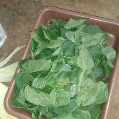 Langkah 1