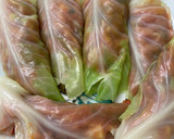 Foto del paso 3 de la receta: Hojas de repollo rellenas de fritada de atún