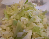 Foto del paso 8 de la receta: Ensalada de col con aderezo de lima, leche de coco y cacahuetes