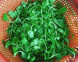 Hình bước làm 1 của món Gỏi rau má chay