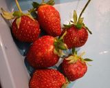 Foto langkah ke 2 dari resep Overnight Oatmeal Strawberry.