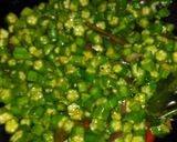 A picture of step 2 of Bhindi bhujiya.