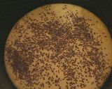 Foto del paso 5 de la receta: Torta en olla essen