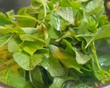 Foto langkah ke 3 dari resep Sayur bening komplit.