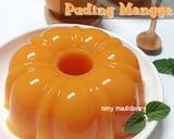 Cara Membuat Puding Mangga 5