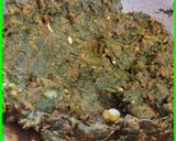 A picture of step 7 of Shaam savera - Paneer stuffed Spinach koftas.