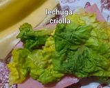 Foto del paso 3 de la receta: Sandwichs primavera (jamón, queso, tomate lechuga)