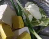 Foto langkah ke 1 dari resep Martabak Tahu Kulit Lumpia✅.