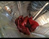 A picture of step 2 of Pozole El 26 Style.