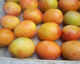 Foto del paso 1 de la receta: Mousse de mango