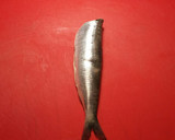 Foto del paso 2 de la receta: Brochetas de sardinas marinadas con alcachofas