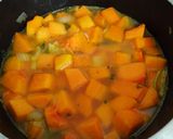 Foto del paso 3 de la receta: Sopa de calabaza / zapallo