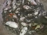 Cumi Hitam