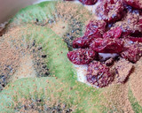 Foto del paso 5 de la receta: Smoothie bowl de yogur de canela, con kiwi fresco, cranberries y almendras remojadas