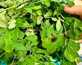 Hình bước làm 1 của món Canh rau chùm ngây nấu tôm 🌿🦐