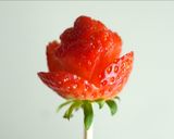 A picture of step 2 of Let’s make a Strawberry Rose for White Day 🍓🌹.