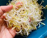 Foto langkah ke 1 dari resep Bening Kacang Tauge.
