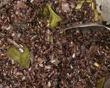Foto langkah ke 5 dari resep Nasi liwet beras hitam TERI.