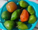 Foto langkah ke 1 dari resep Ase Cabe Gendot Viral.