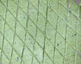 A picture of step 3 of Spinach Namakpare.