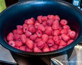 Foto del passaggio 1 della ricetta Marmellata di lamponi