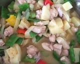 Chicken and Vegetable Stew recipe step 5 photo
