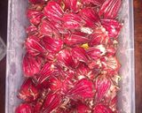 Foto del paso 7 de la receta: Yogurt Griego hecho con LECHE EN POLVO, con colchón de grosellas