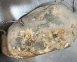 烤地瓜的食譜步驟1照片