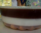 Foto langkah ke 3 dari resep Puding orange milk choco.