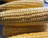 Foto del paso 1 de la receta: El NOA en el SE(Humita bien tucumana)